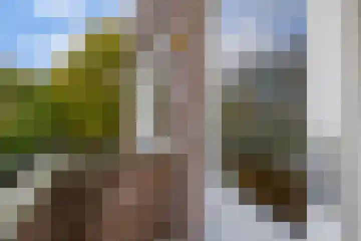 Mijnsherenlaan 153 B Rotterdam thumbnail 20