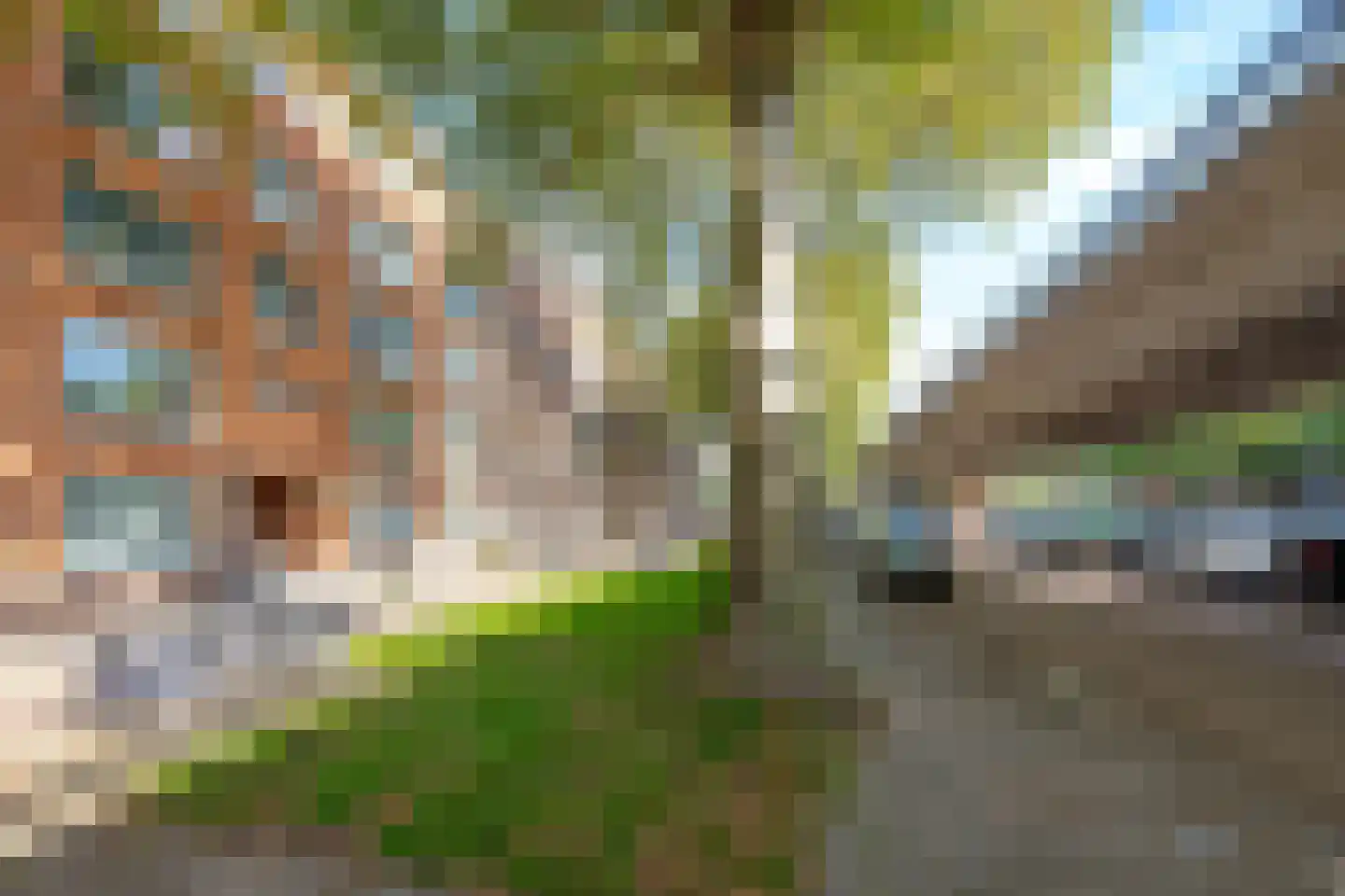 Mijnsherenlaan 155 C Rotterdam thumbnail 34
