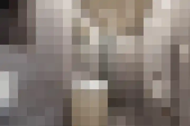 Mijnsherenlaan 157 D Rotterdam thumbnail 15