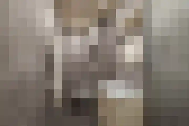 Mijnsherenlaan 157 D Rotterdam thumbnail 16
