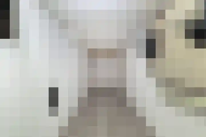 Mijnsherenlaan 157 D Rotterdam thumbnail 19