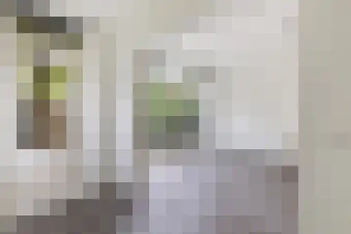 Mijnsherenlaan 157 D Rotterdam thumbnail 23