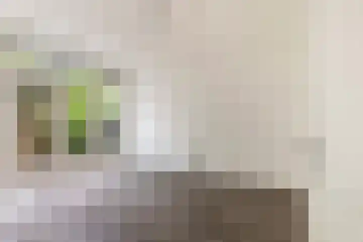 Mijnsherenlaan 157 D Rotterdam thumbnail 24