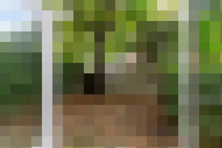 Mijnsherenlaan 157 D Rotterdam thumbnail 30