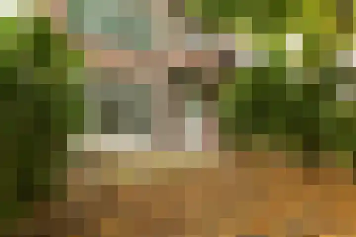 Mijnsherenlaan 157 D Rotterdam thumbnail 31