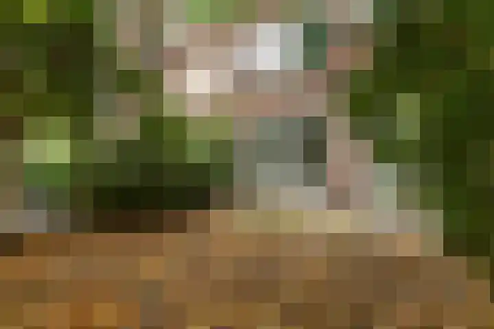 Mijnsherenlaan 157 D Rotterdam thumbnail 33
