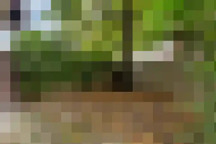 Mijnsherenlaan 157 D Rotterdam thumbnail 4