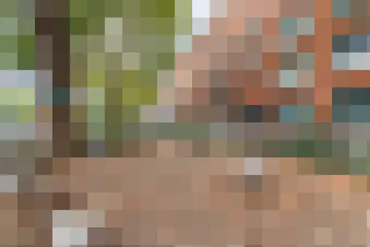 Mijnsherenlaan 157 D Rotterdam thumbnail 5