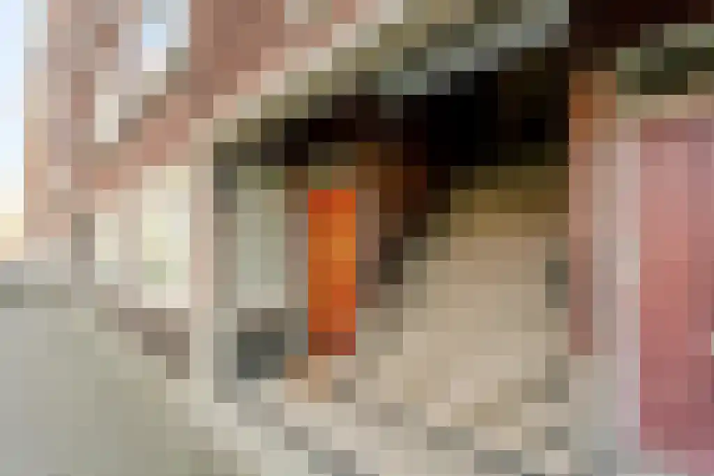 Mijnsherenlaan 158 D Rotterdam thumbnail 29