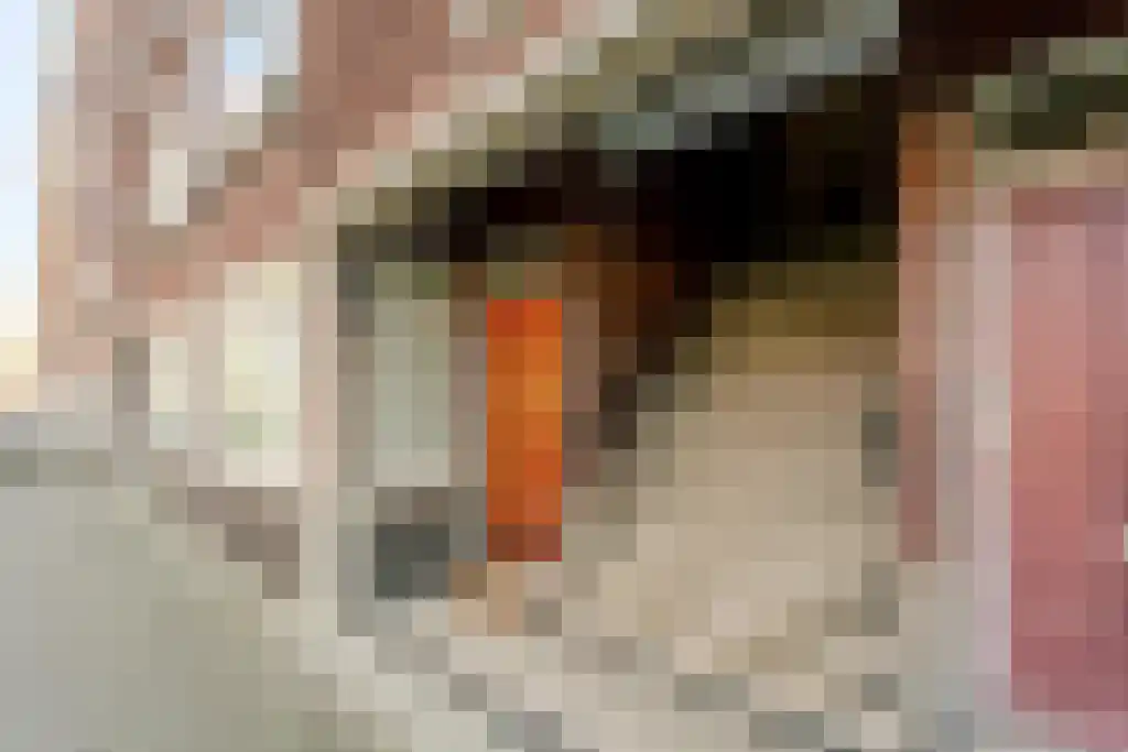 Mijnsherenlaan 158 D Rotterdam thumbnail 30