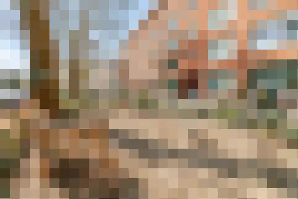 Mijnsherenlaan 158 D Rotterdam thumbnail 31