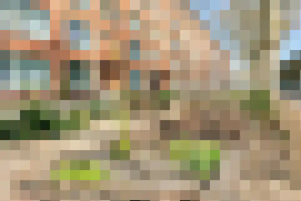 Mijnsherenlaan 158 D Rotterdam thumbnail 33