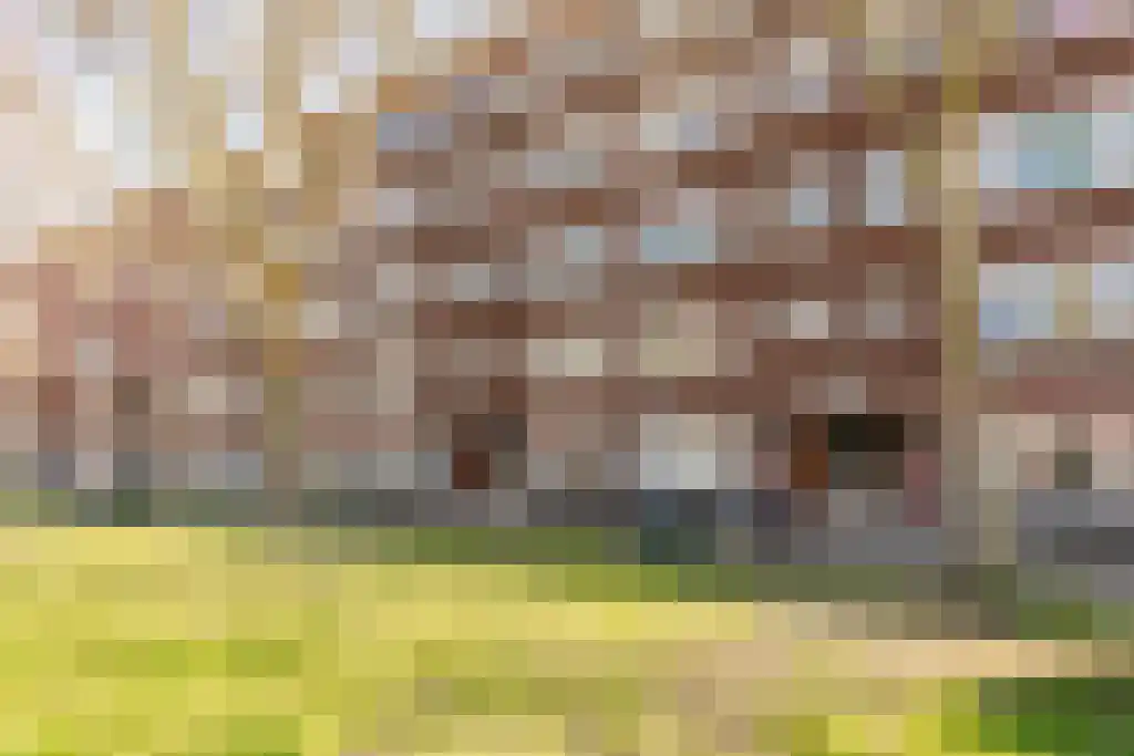 Mijnsherenlaan 158 D Rotterdam thumbnail 4