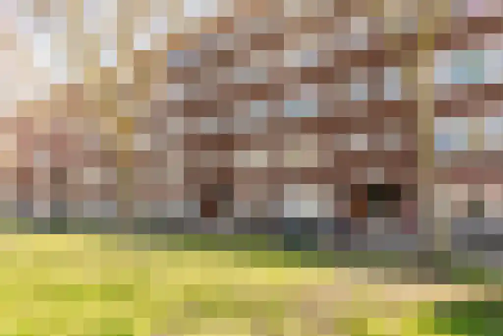 Mijnsherenlaan 158 D Rotterdam thumbnail 5