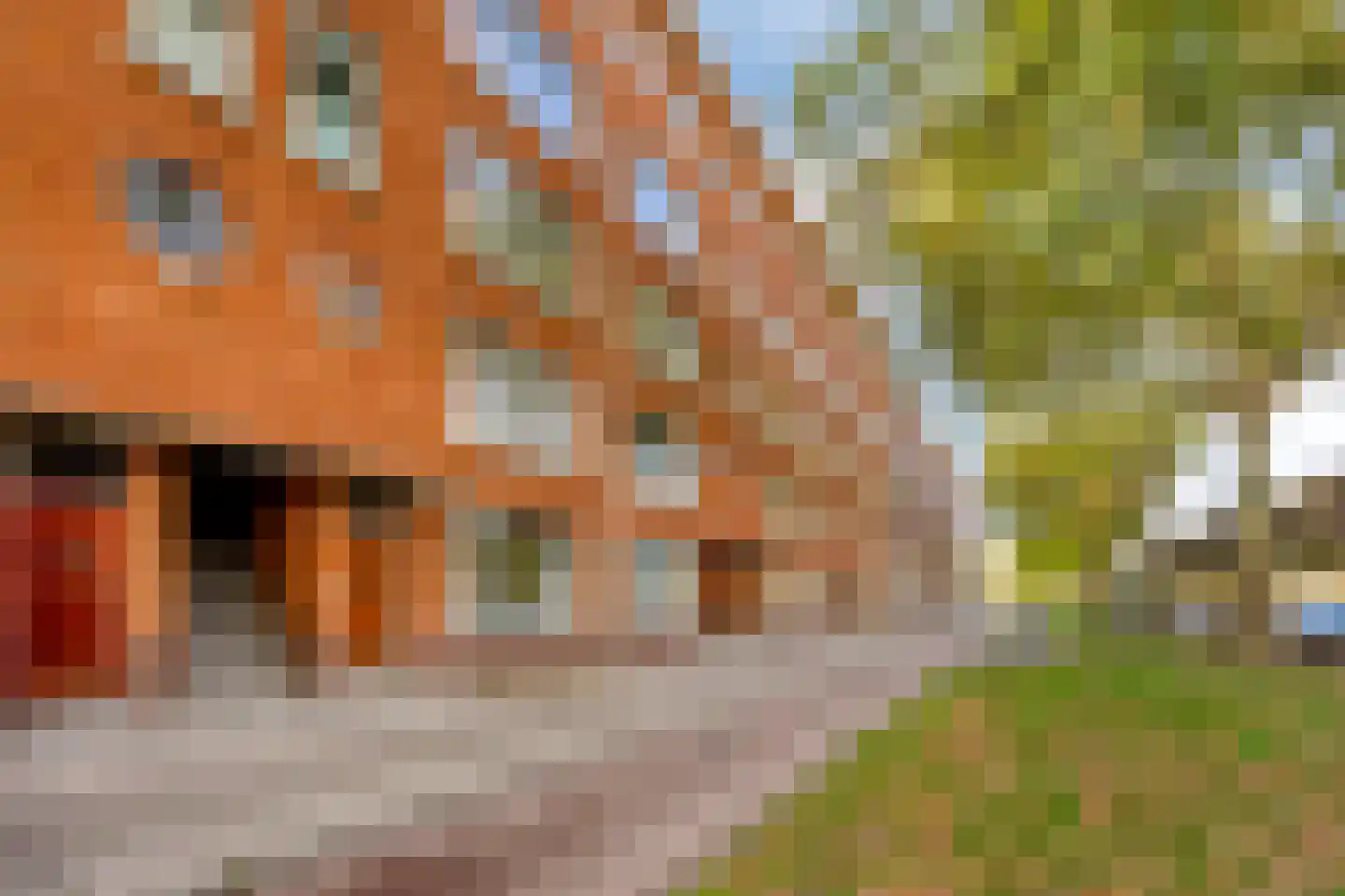 Mijnsherenlaan 161 C Rotterdam thumbnail 23