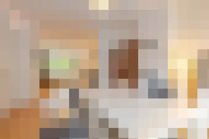 Mijnsherenlaan 162 C Rotterdam thumbnail 9