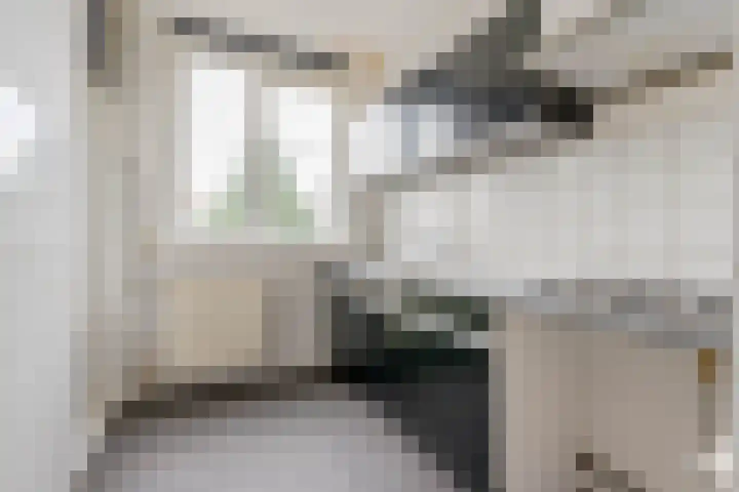 Mijnsherenlaan 166 A Rotterdam thumbnail 14