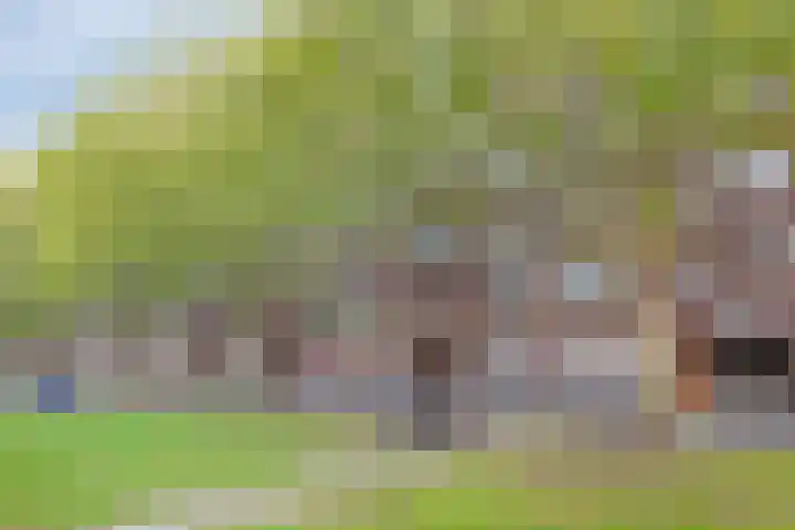 Mijnsherenlaan 166 A Rotterdam thumbnail 5