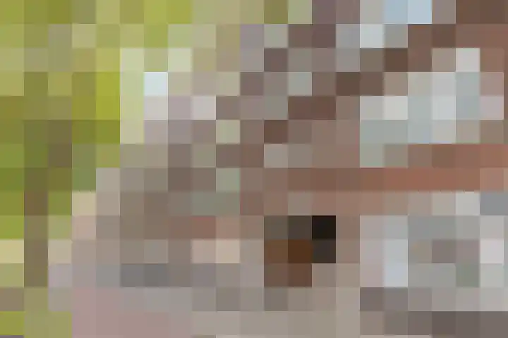 Mijnsherenlaan 166 A Rotterdam thumbnail 6