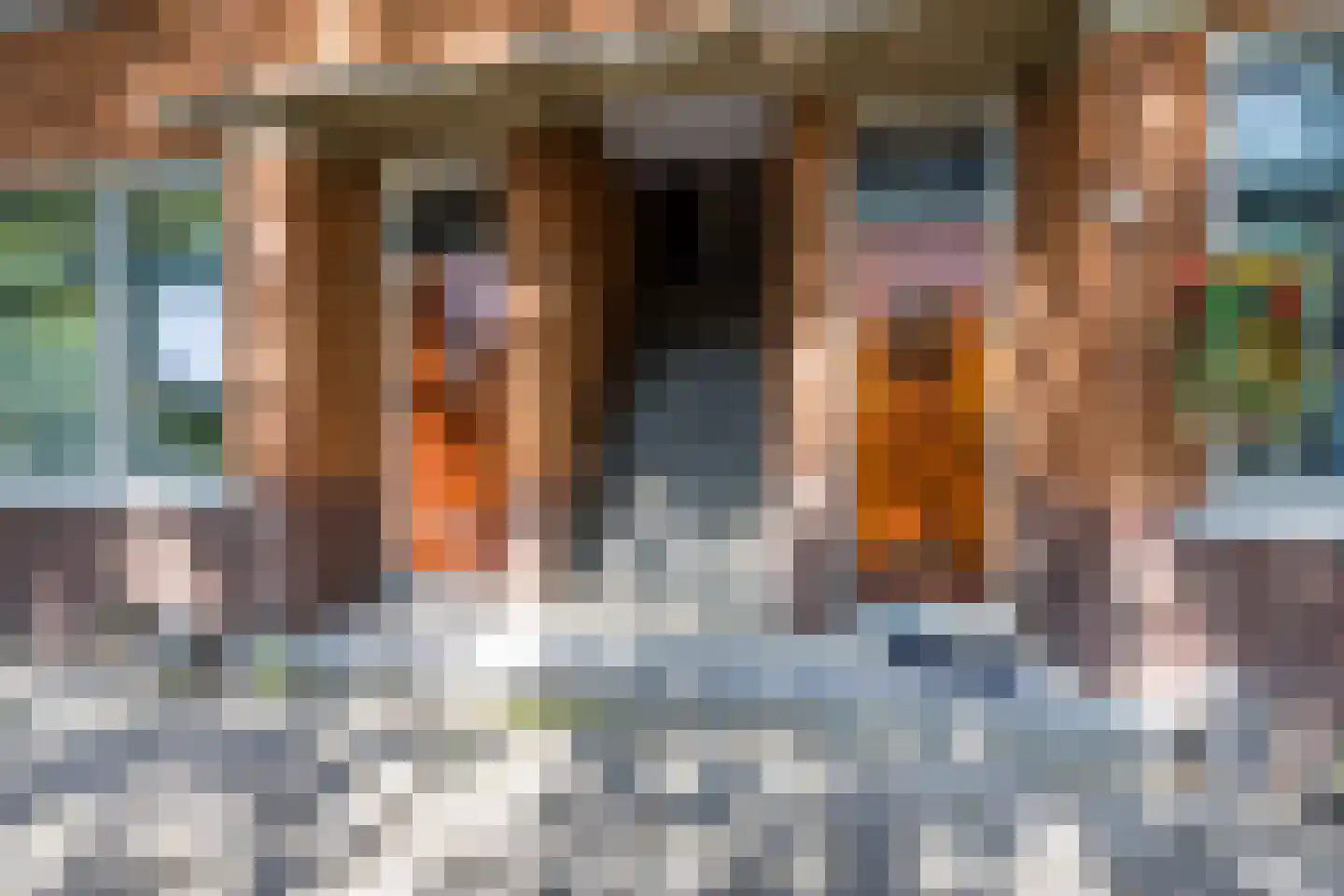 Mijnsherenlaan 167 C Rotterdam thumbnail 25