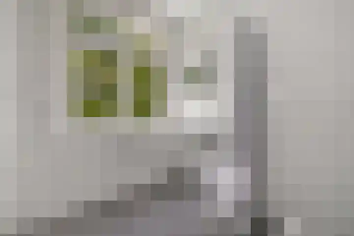 Mijnsherenlaan 168 A Rotterdam thumbnail 12