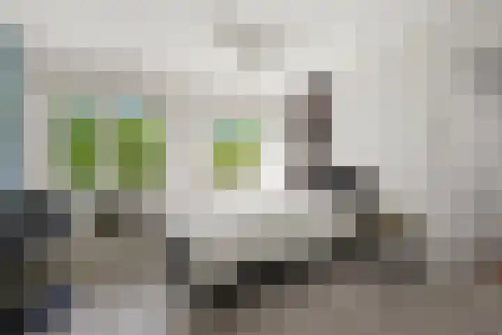 Mijnsherenlaan 168 A Rotterdam thumbnail 27