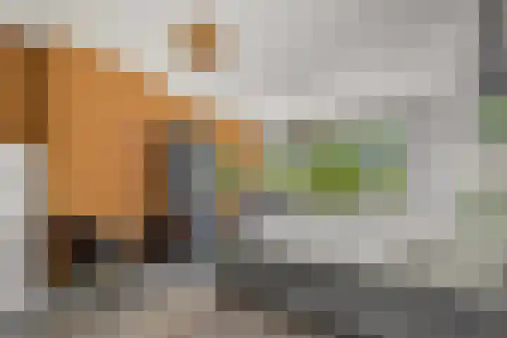 Mijnsherenlaan 168 A Rotterdam thumbnail 7