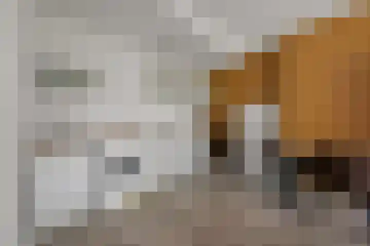 Mijnsherenlaan 168 A Rotterdam thumbnail 8