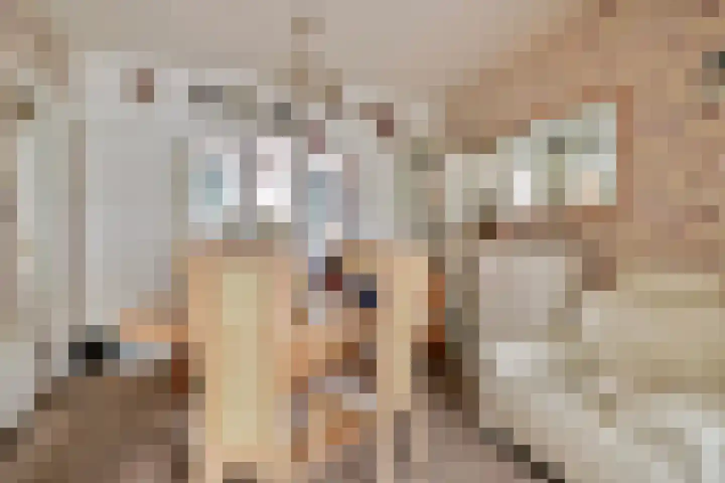 Mijnsherenlaan 168 D Rotterdam thumbnail 11