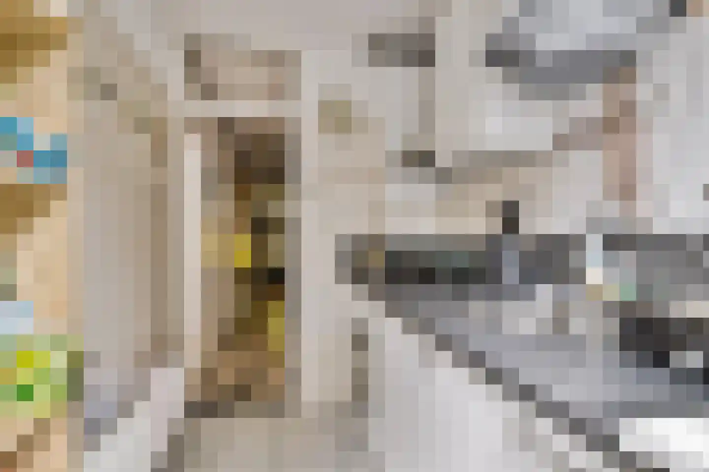 Mijnsherenlaan 168 D Rotterdam thumbnail 13