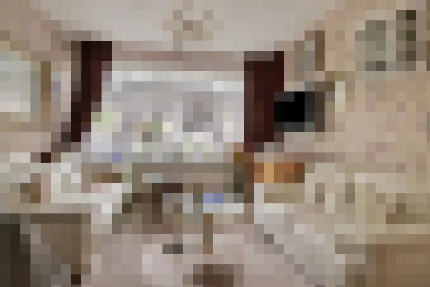 Mijnsherenlaan 168 D Rotterdam thumbnail 9