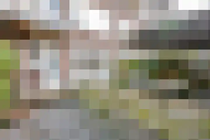 Mijnsherenlaan 187 A Rotterdam thumbnail 20