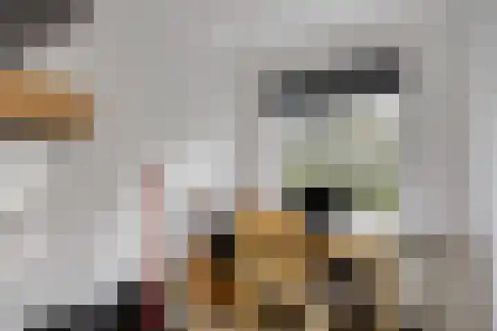 Mijnsherenlaan 203 C Rotterdam thumbnail 19