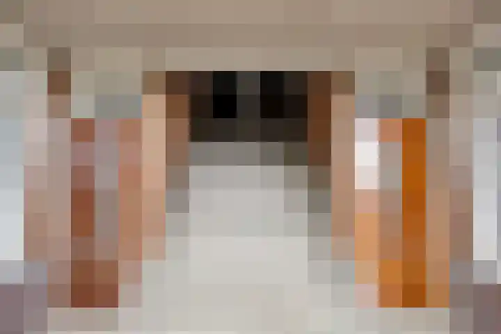 Mijnsherenlaan 203 C Rotterdam thumbnail 21