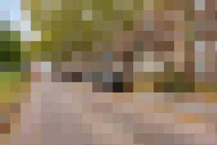 Mijnsherenlaan 203 C Rotterdam thumbnail 22