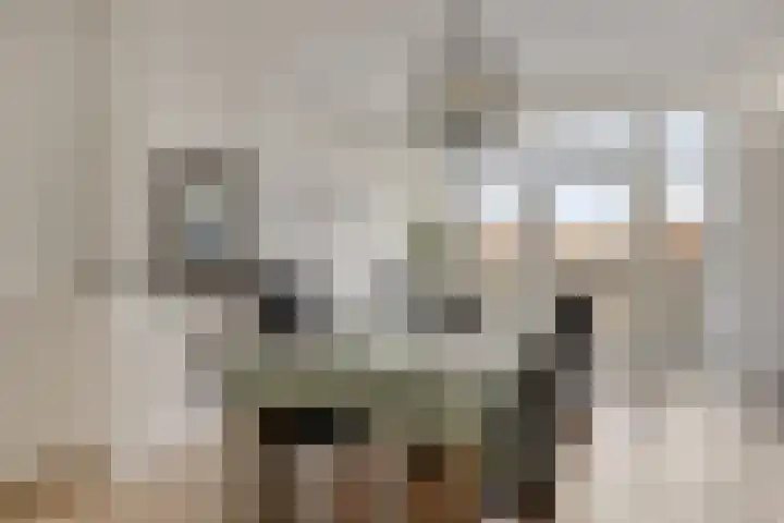 Mijnsherenlaan 203 C Rotterdam thumbnail 6