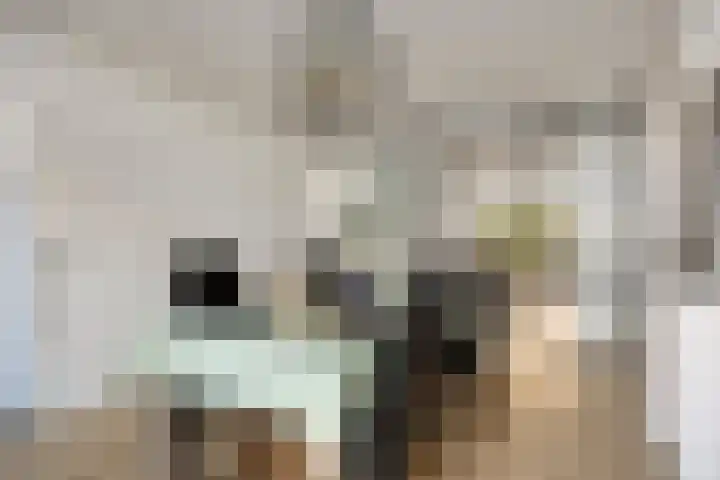 Mijnsherenlaan 203 C Rotterdam thumbnail 7