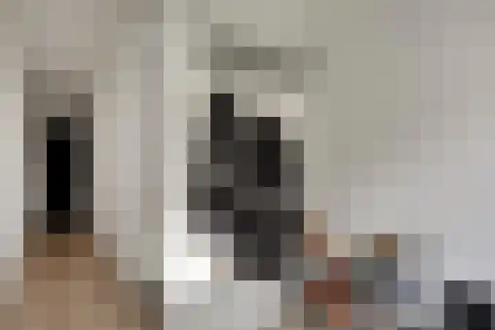 Mijnsherenlaan 203 C Rotterdam thumbnail 9