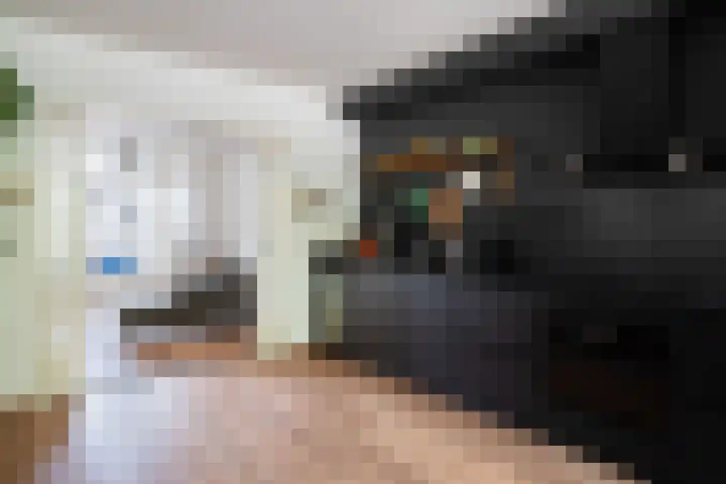 Mijnsherenlaan 229 D Rotterdam thumbnail 14