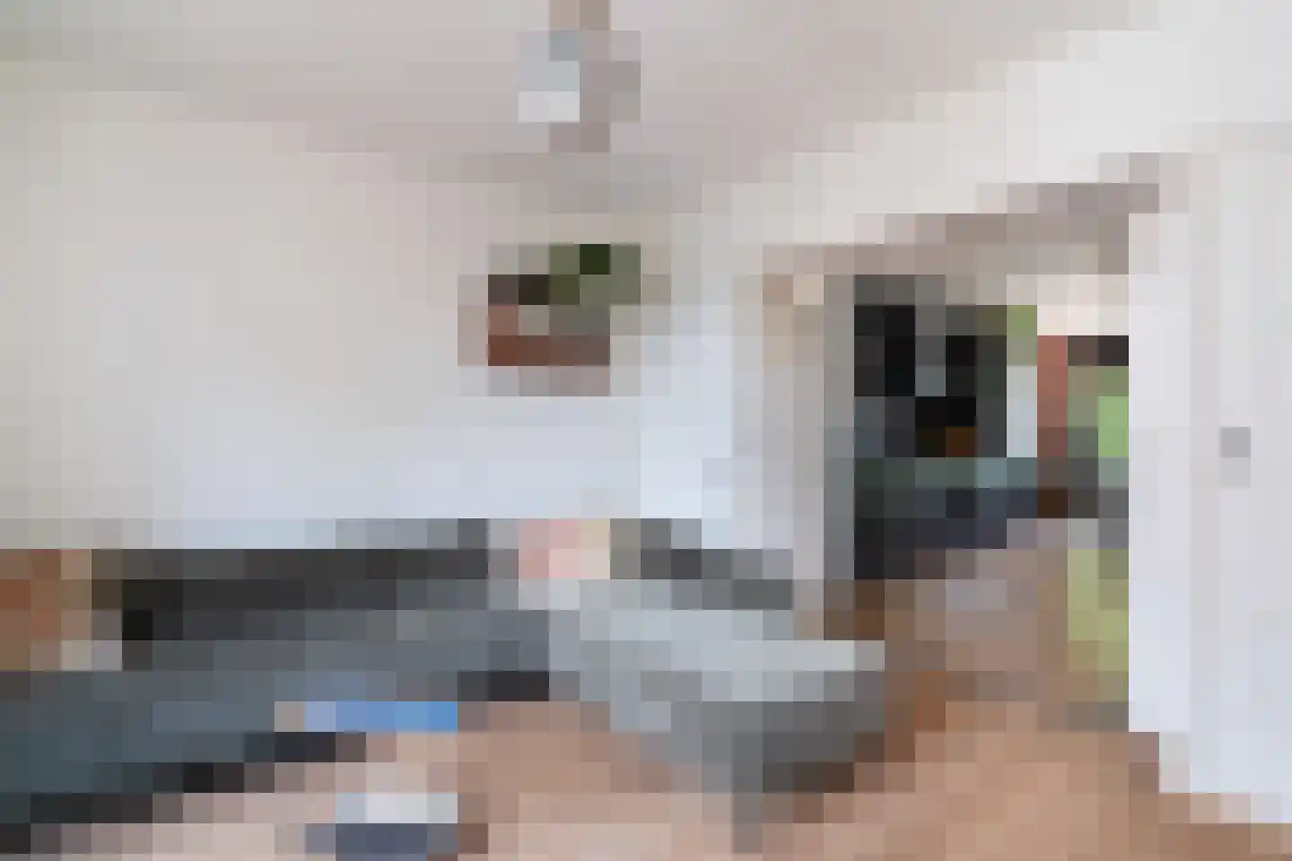 Mijnsherenlaan 229 D Rotterdam thumbnail 6