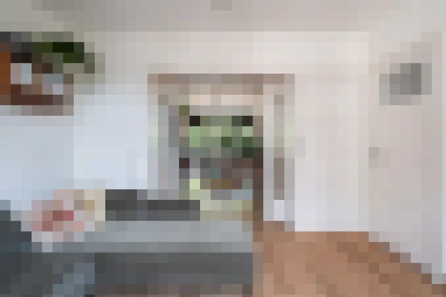 Mijnsherenlaan 229 D Rotterdam thumbnail 7