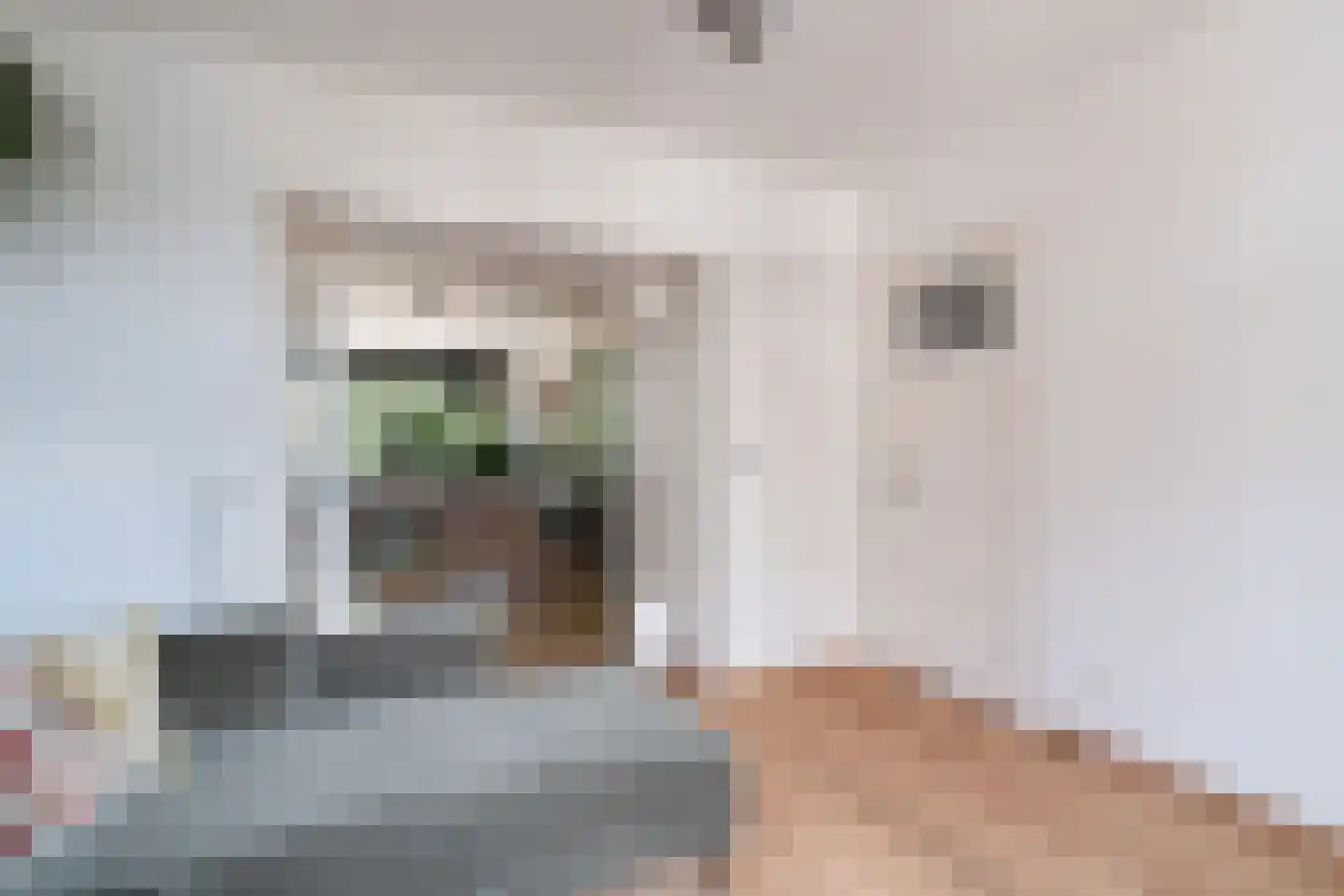 Mijnsherenlaan 229 D Rotterdam thumbnail 8