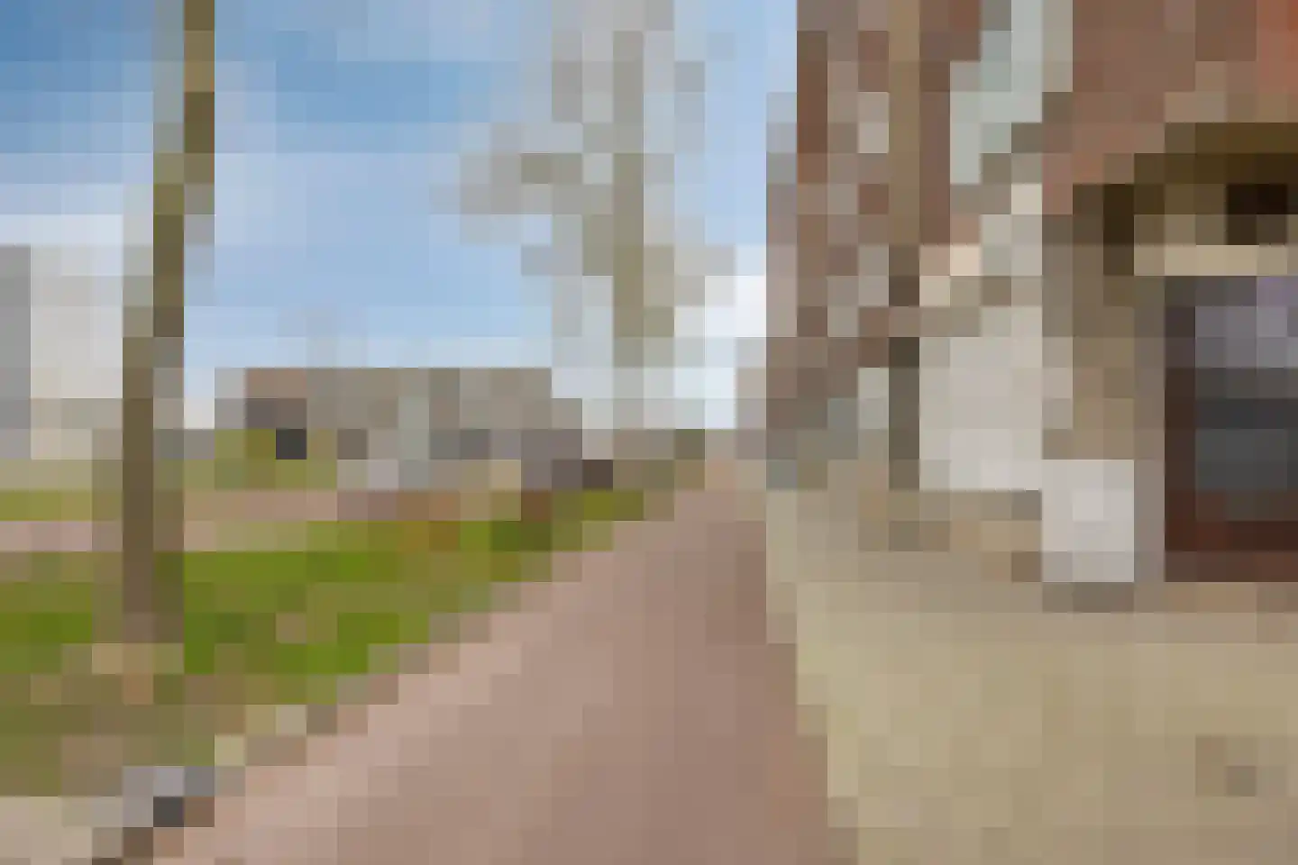 Mijnsherenlaan 231 A Rotterdam thumbnail 16