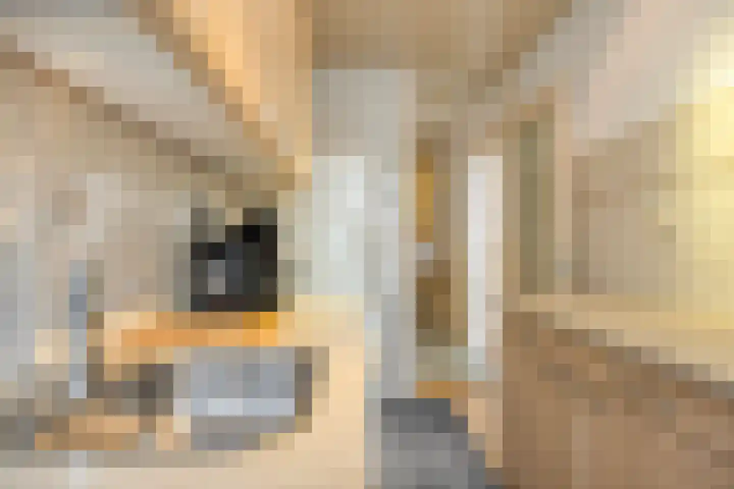 Mijnsherenlaan 231 D Rotterdam thumbnail 8