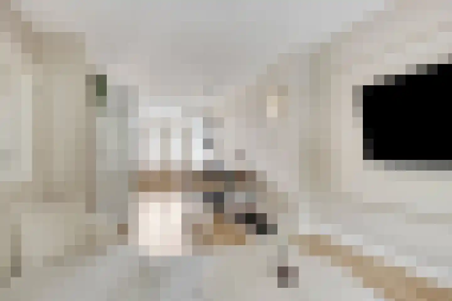 Mijnsherenlaan 36 A Rotterdam thumbnail 4