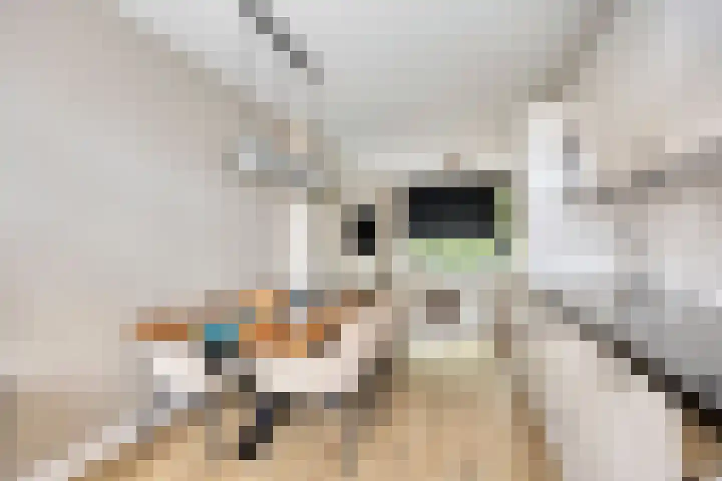 Mijnsherenlaan 36 A Rotterdam thumbnail 5