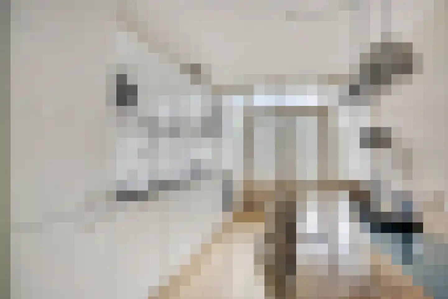 Mijnsherenlaan 36 A Rotterdam thumbnail 7