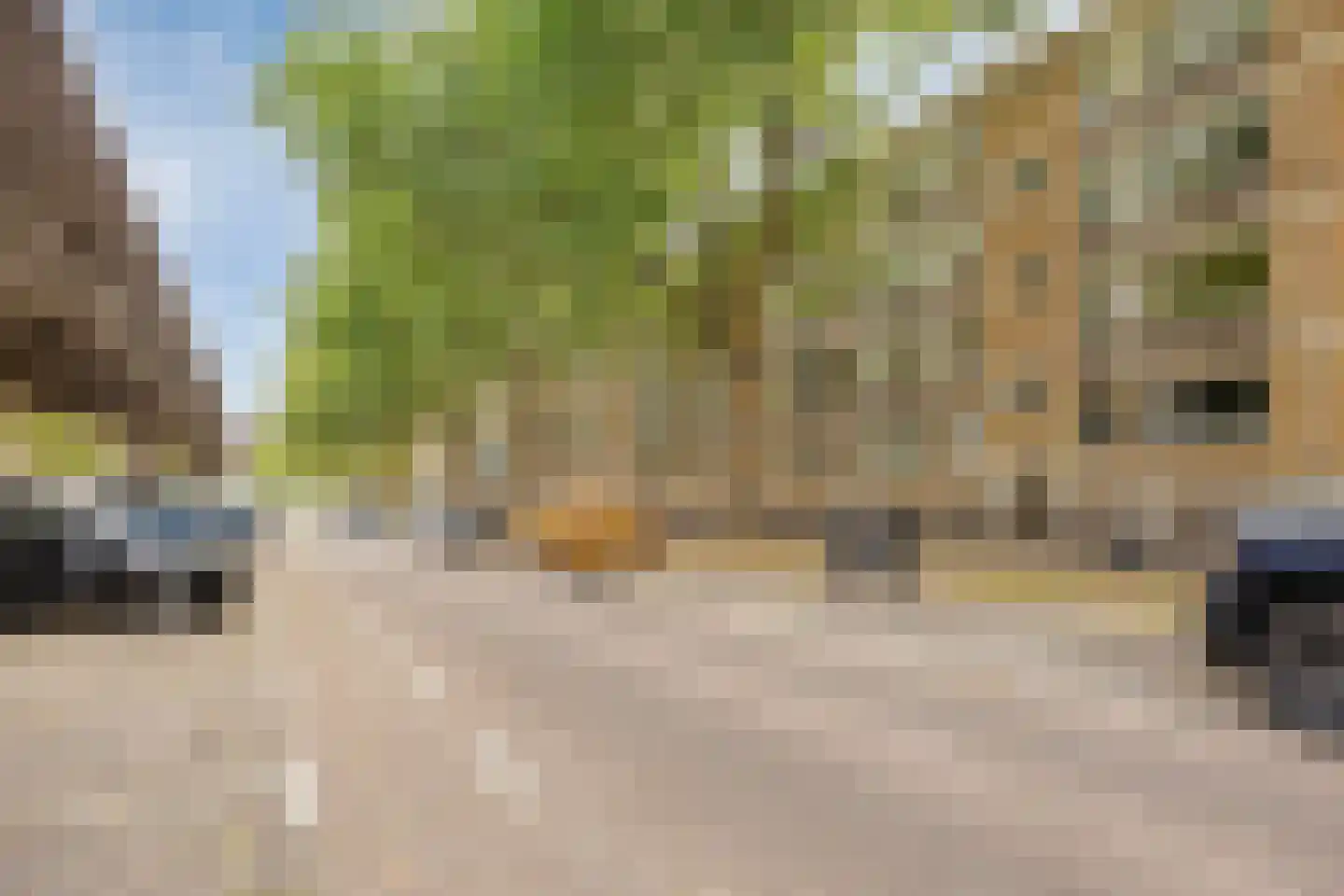 Mijnsherenlaan 36 C Rotterdam thumbnail 23