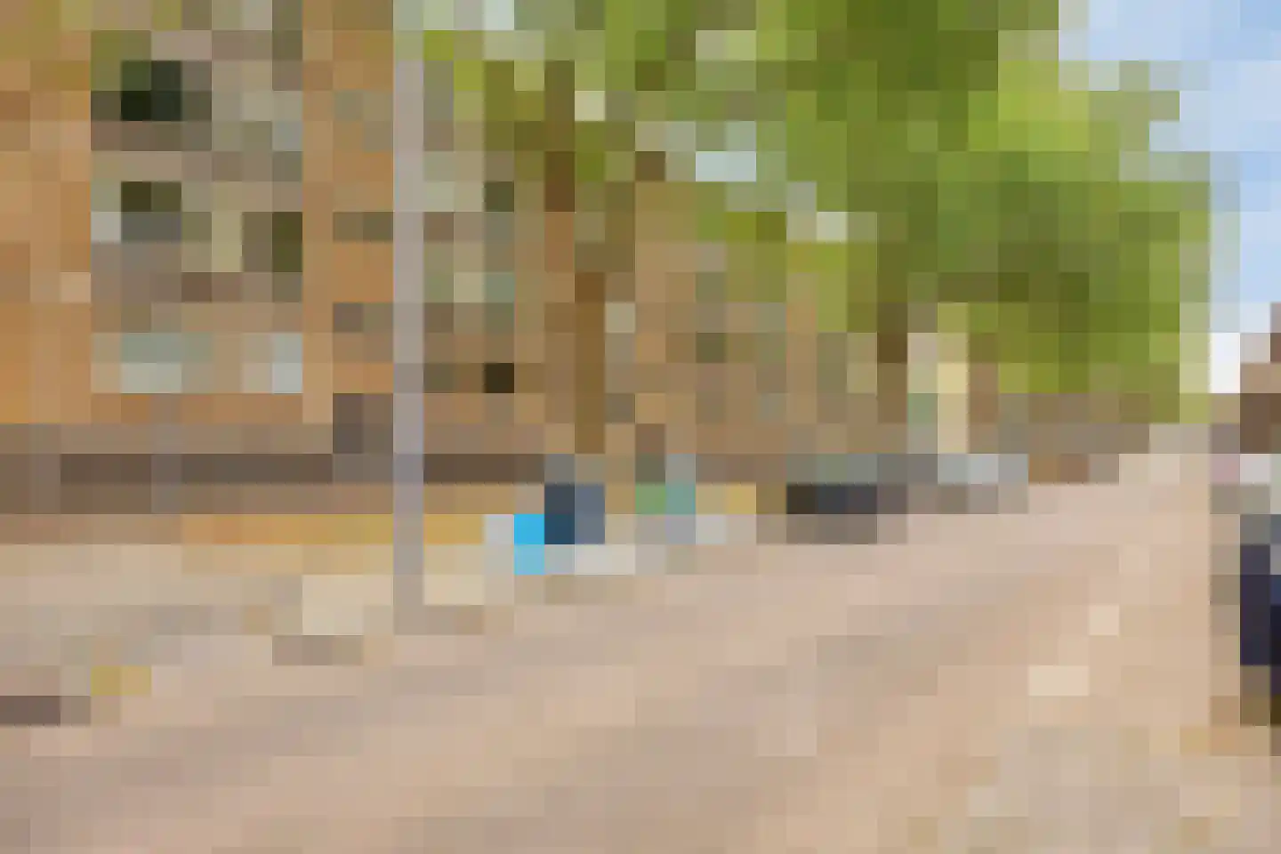 Mijnsherenlaan 36 C Rotterdam thumbnail 28