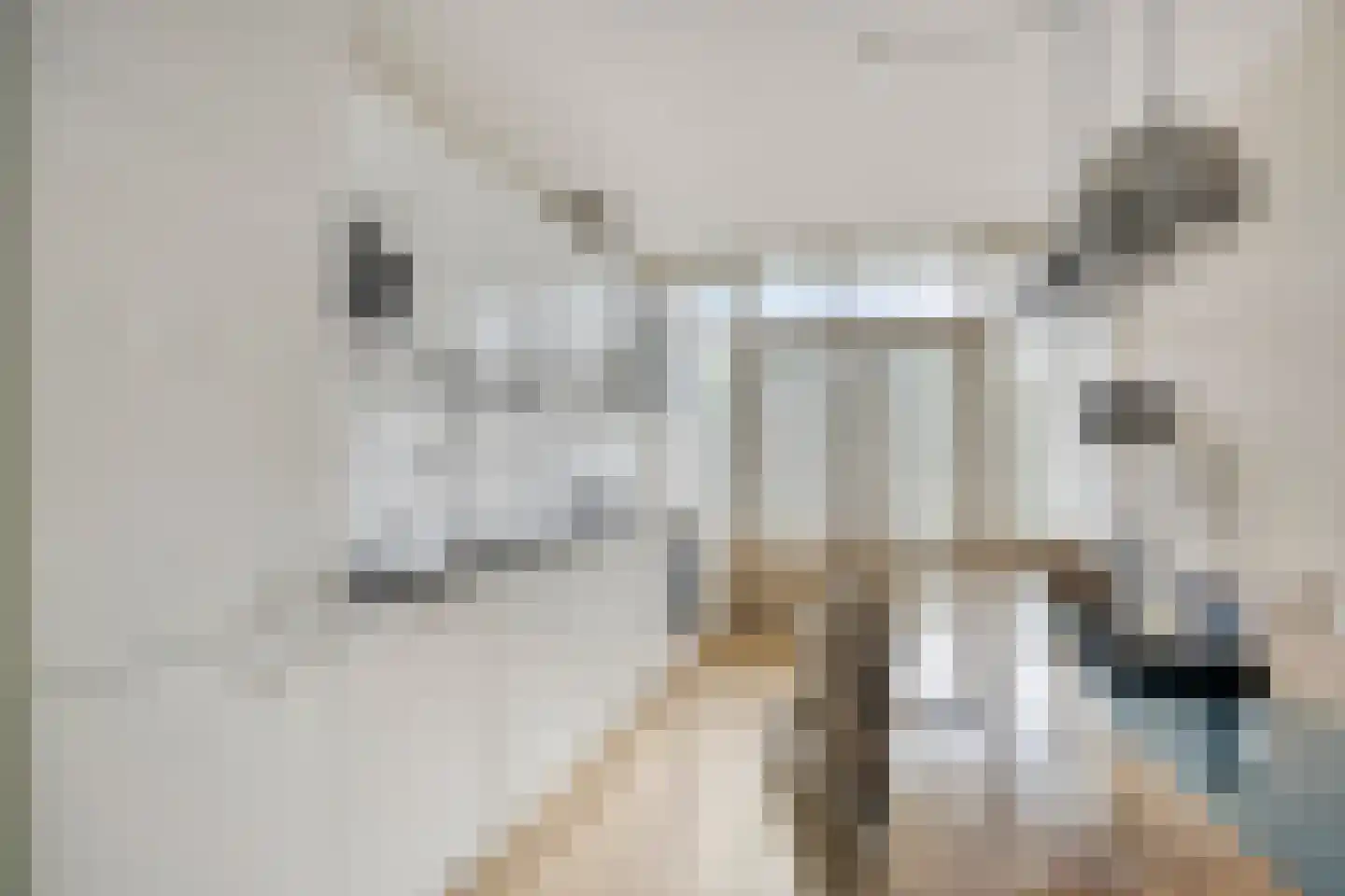 Mijnsherenlaan 36 C Rotterdam thumbnail 7